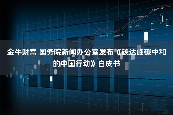 金牛财富 国务院新闻办公室发布《碳达峰碳中和的中国行动》白皮书