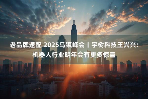 老品牌速配 2025乌镇峰会丨宇树科技王兴兴：机器人行业明年会有更多惊喜