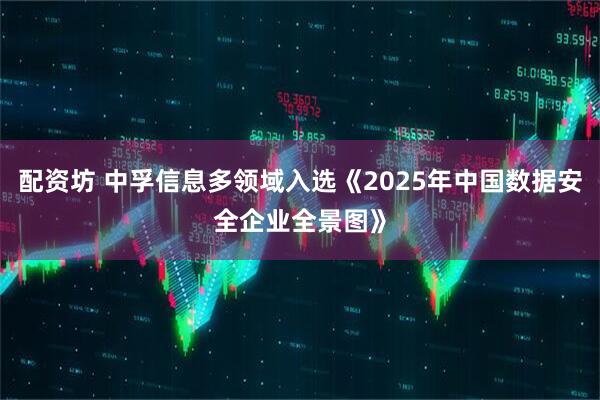 配资坊 中孚信息多领域入选《2025年中国数据安全企业全景图》